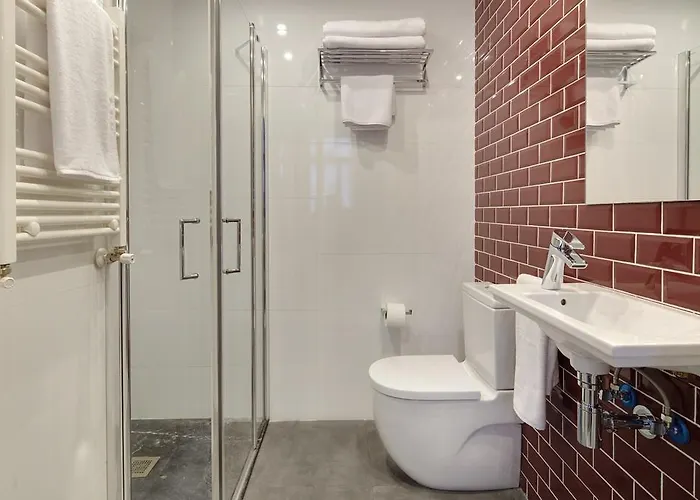 招待所 Don Cecilio 圣塞瓦斯蒂安